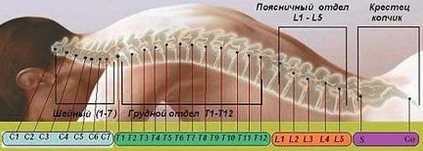 Болевой синдром как последствие перелома позвоночника