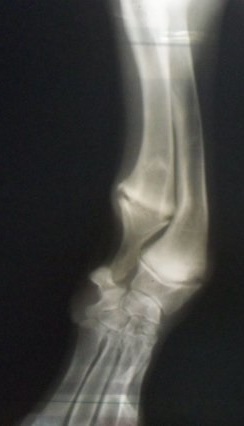 pic 3