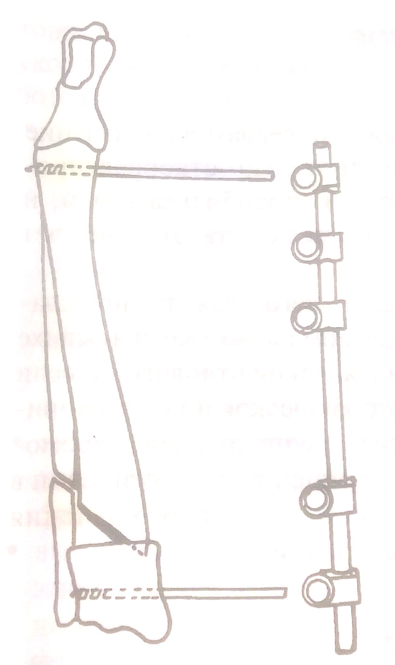 pic 9 b